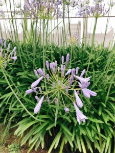 103609747_3002117333229185_4202471007404000196_n