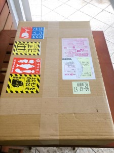 241203436_4241159815991591_312310514298350902_n